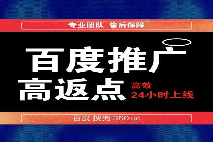 百度竞价广告投放成功案例解析